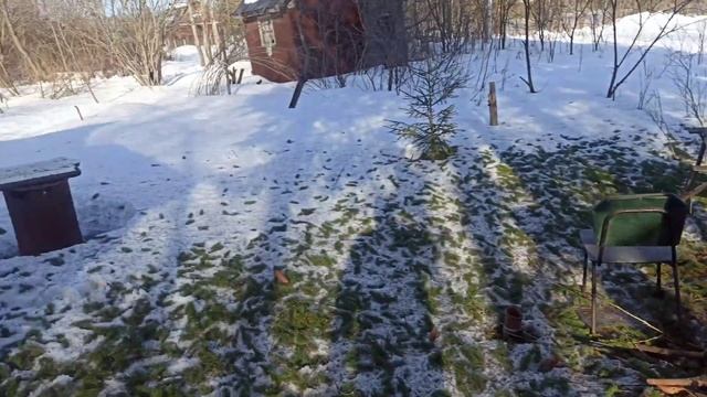 МыЖеНаТы: осмотр дачи после зимы. смотреть онлайн