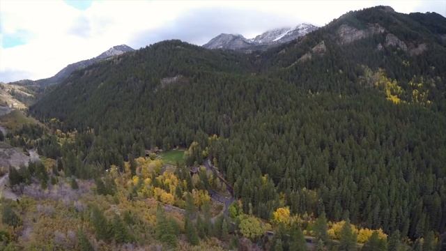 WILL LIFE EVER BE THE SAME_ смотреть онлайн