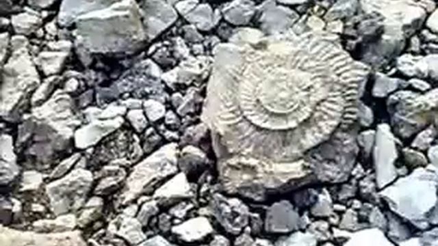 Берег Волги у Сл.Рудника.2010 г смотреть онлайн