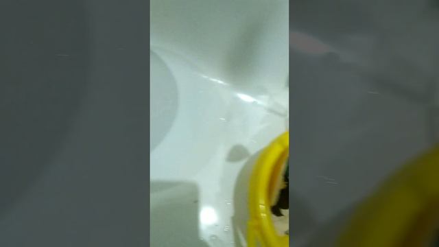 Что дела́ть с фикусом? смотреть онлайн