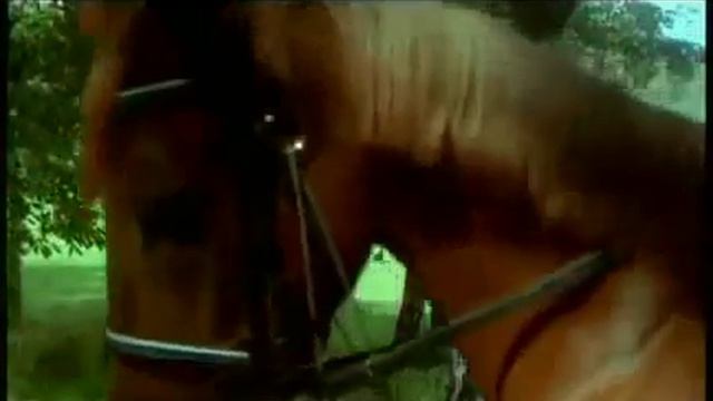 beli orjol kak upoitelni v rosii vechera mp4 смотреть онлайн