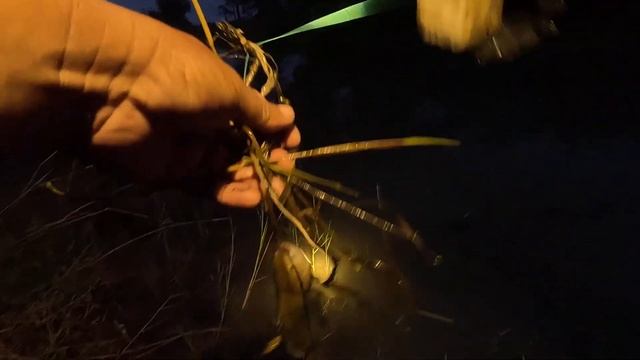 หมายที่มีปลาค่อใหญ่พะนะ.. สงสัยผมจะโดนต้มแล้วเด้อครับผม..55 смотреть онлайн