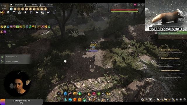 Мини-гайд по сбору в БДО смотреть онлайн