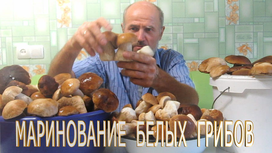 Как мариновать белые грибы.Маринование грибов-вкусняшка. Простой рецепт маринования грибов смотреть онлайн