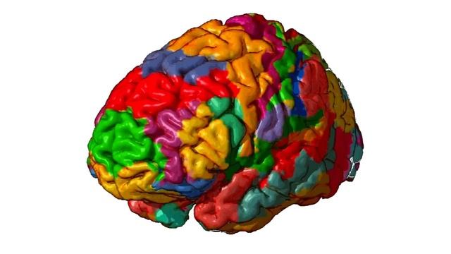 Your Brain On Language: Is Grammar Inside My Head? -- Linguistics & Logic 101