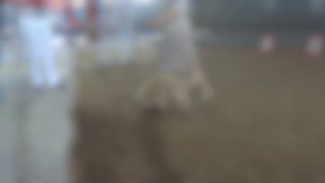 Иркутск моно 20.07.13 ЕГИПЕТСКАЯ ЦАРИЦА смотреть онлайн