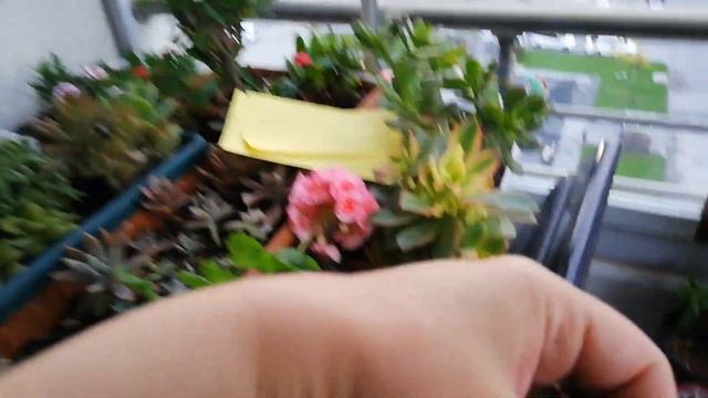 YİNE HEDİYELERLE DOLU KARGO HAZIRLIYORUM😀🌺 смотреть онлайн