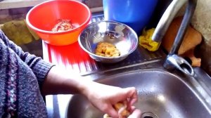 Собираем гусиный жир.