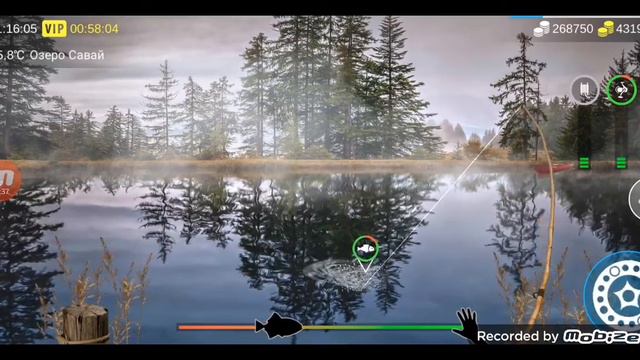 играем в my fishing world и ловим рыбу. смотреть онлайн