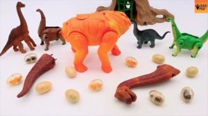Гигантский набор тираннозавра! Анатомия динозавра! Имена динозавров! Игрушки из мира юрского период