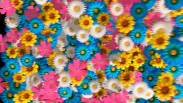 цветочный переход 3 смотреть онлайн