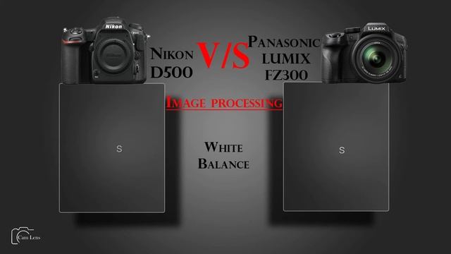 Nikon D500 vs Panasonic LUMIX FZ300 смотреть онлайн