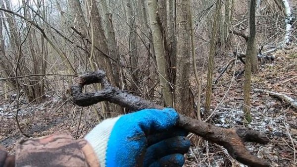 КОП с симплекс + ТЕСТ в лесу NOKTA SIMPLEX +