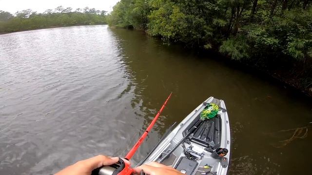 Exploring SMALL Creeks for BIG Bass (Kayak Fishing) смотреть онлайн