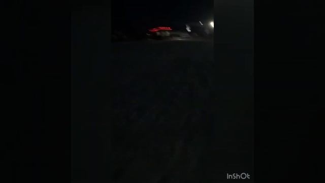 ВЛОГ с собакой : наш 1 влог/ новогодний влог/ наше новогоднее путешествие❄️ смотреть онлайн