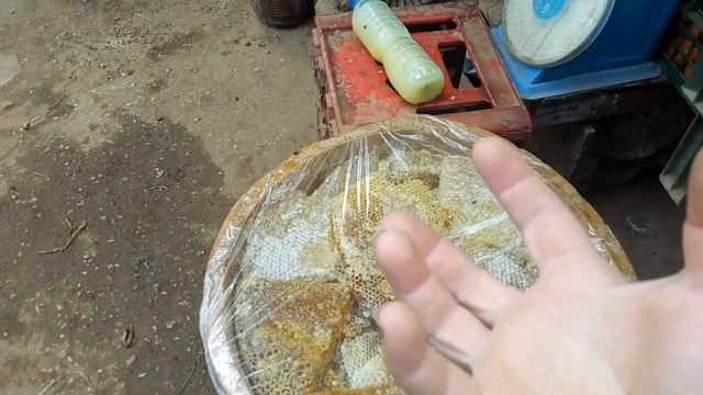 НИГЕРИЯ. ПОКУПАЕМ ОВОЩИ-ФРУКТЫ. смотреть онлайн