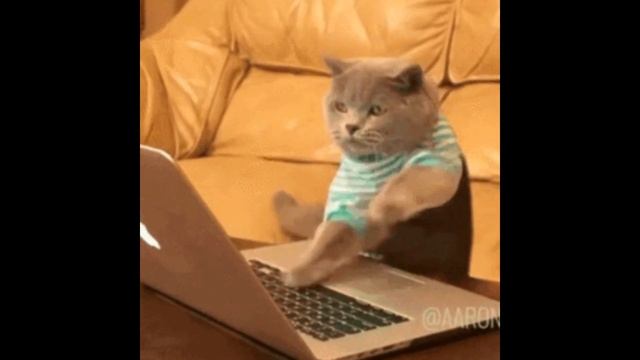 Ваш витуберский дебют ✨ Всё для вашего первого стрима. Настройка, тест железа, советы, идеи, пиар. смотреть онлайн