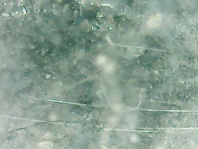 57 Коловратка – стартовый корм для поднятия малька. смотреть онлайн