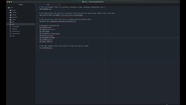 How to install Craft CMS using MAMP in under 10 minutes | Web Dev смотреть онлайн