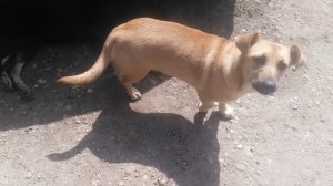 VID_20240904_132855.mp4