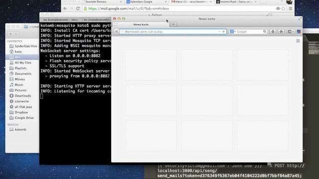 BeEF massmailer and Mosquito demo смотреть онлайн