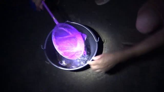 Ловим ядовитых рыб и огромных крабов в КРЫМУ смотреть онлайн