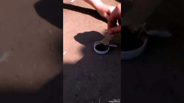 Крутой опыт со спичками смотреть онлайн