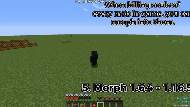 12 BEST Minecraft Mods Showcase! (Part 1) [1.12.2 - 1.20.1]