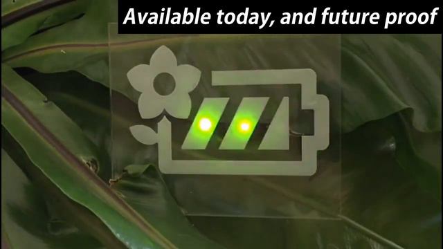 Plant-e Christmas смотреть онлайн