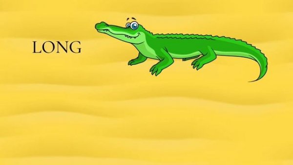 Big - Small , Long - Short , Tall - Short , Same size. Learn and compare sizes for kids .