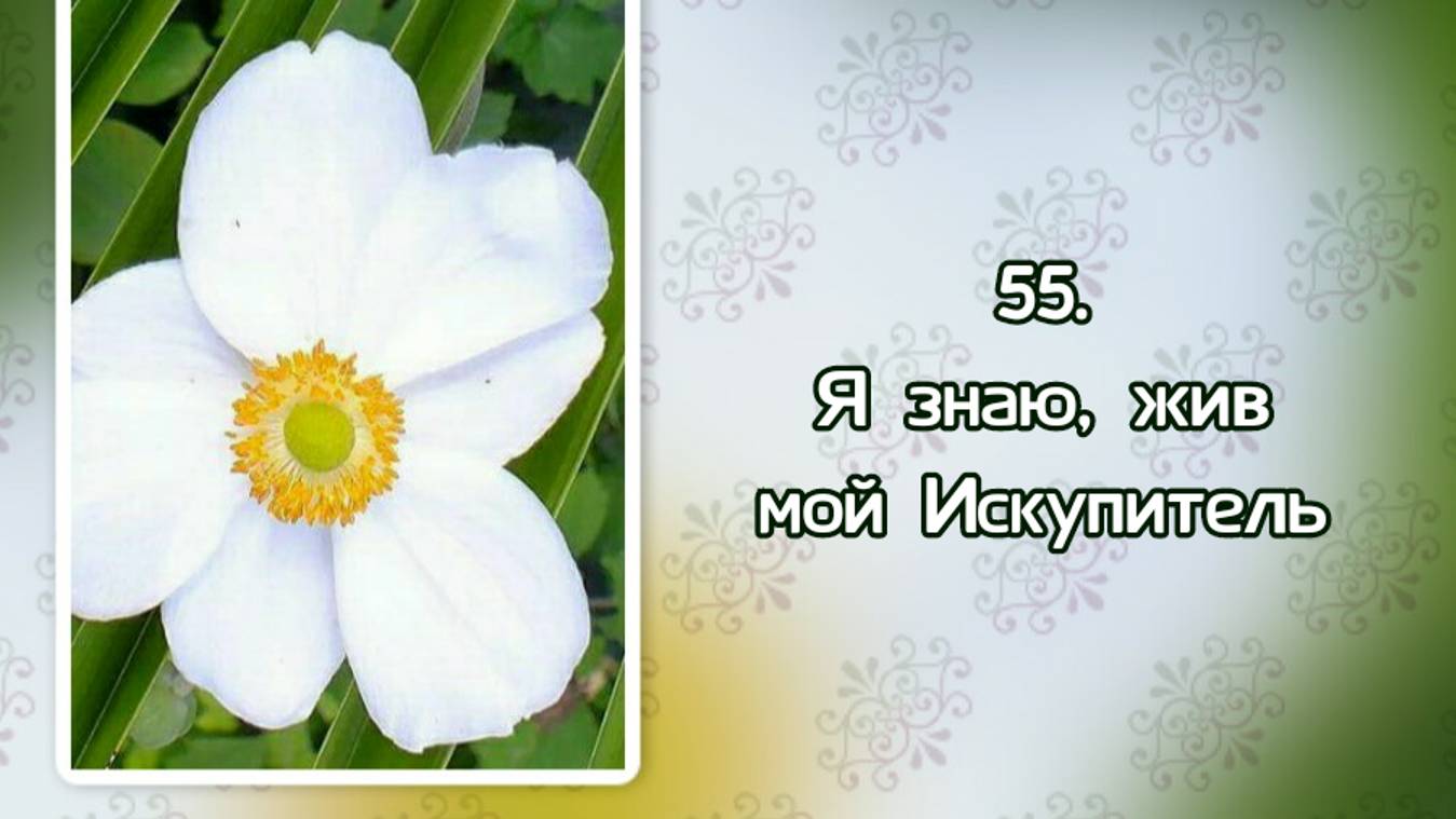 Гимны надежды 55 Я знаю, жив мой Искупитель 1 (-) смотреть онлайн