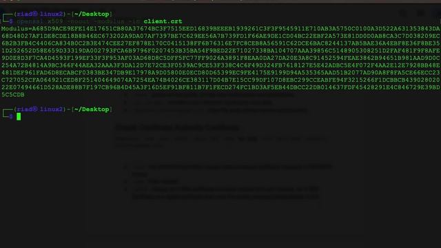 Create self-sign certificate using OpenSSL. смотреть онлайн
