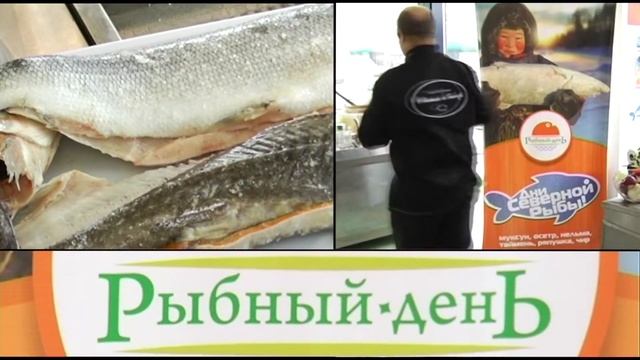Закуски из северной рыбы смотреть онлайн