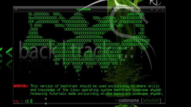 Backtrack codename[whydah]-Sqlmap смотреть онлайн