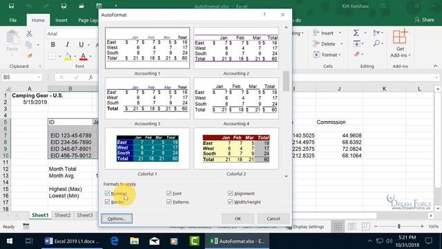 Microsoft Excel 2019: AutoFormat