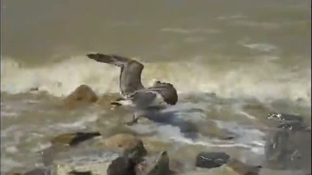 DSCN3938 смотреть онлайн