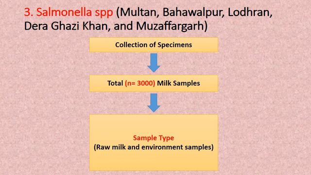 Types of pathogens in Milk and Milk products || Different case studies of Pakistan || Articles смотреть онлайн