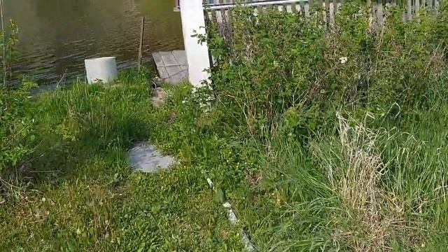 Убрали старую малину,разработали участок для помидор смотреть онлайн