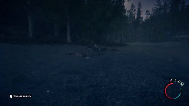 Crash landing into a new life. The Walkabout: Sons of The Forest, Peaceful|Realistic (no commentary смотреть онлайн