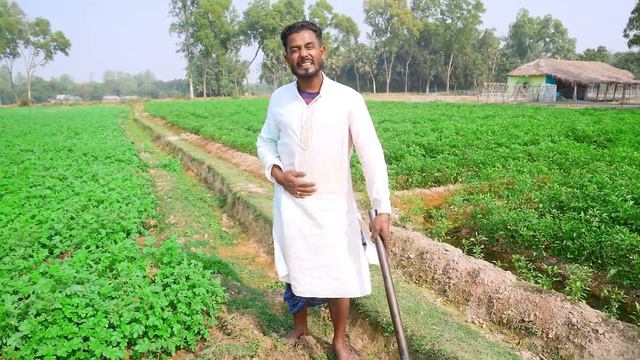 Must Watch New Special Comedy Video 2023 😎Totally Amazing Comedy Episode 248 By Busy Fun Ltd