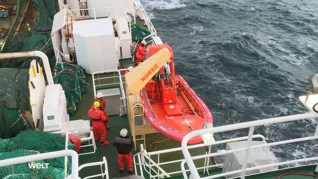 DEEP SEA FISHING - Hard Work On The High Seas | Full Documentary смотреть онлайн