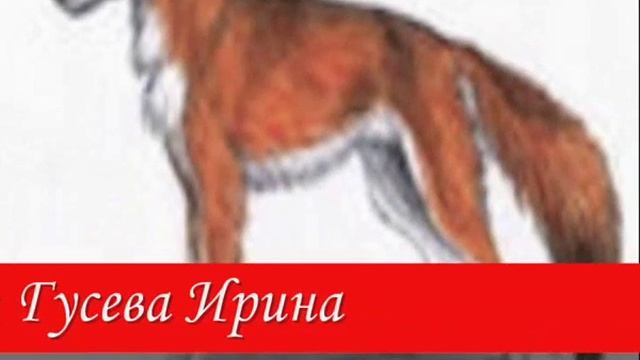 Животные Красной книги смотреть онлайн