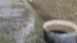 Как подключить полив туман.