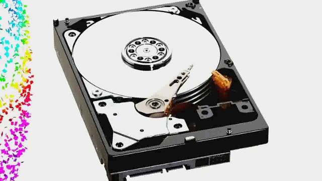 Western Digital 250 GB Scorpio Blue SATA 5400 RPM 8 MB Cache BulkOEM Notebo смотреть онлайн