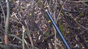 ОХОТА НА УТКУ в Воронежской области 2021. Часть 6-я.