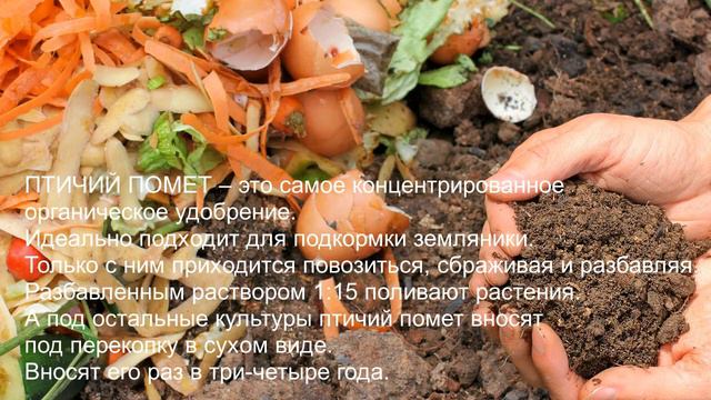Топ 5 удобрений для осени смотреть онлайн