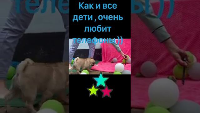 абрикосовая девочка Юлина смотреть онлайн