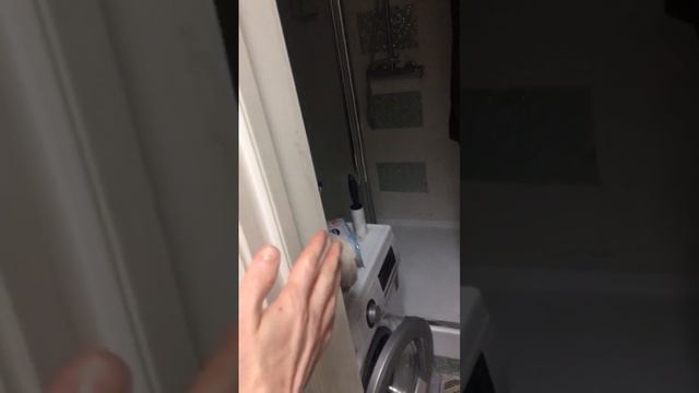 Охранник ванной комнаты #кошка #котики #кот #краснодар #ванная смотреть онлайн