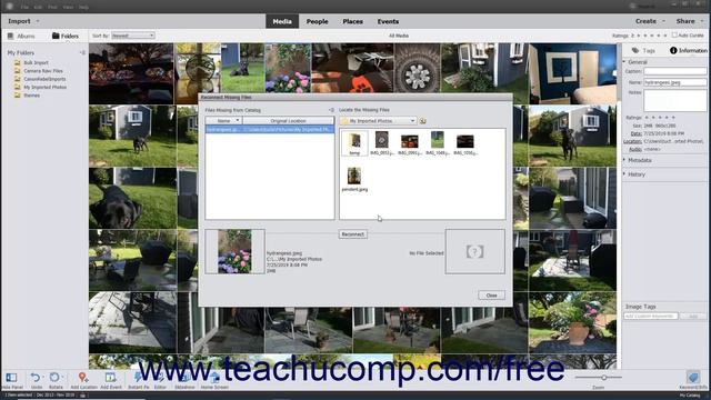 Learn How to Manage Files in the Organizer in Adobe Photoshop Elements 2022: A Training Tutorial смотреть онлайн