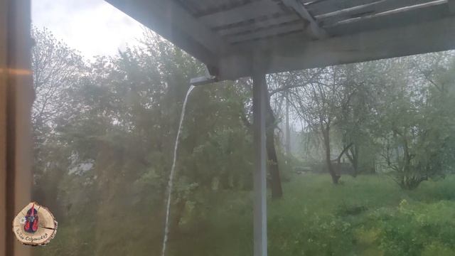 Первые сыры из молока от наших коз./Переезд в Краснодарский край. смотреть онлайн